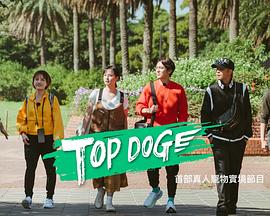 红杏视频《TOP DOG》免费在线观看