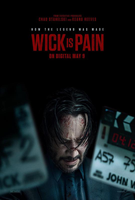 红杏视频《疾速剧痛 Wick Is Pain》免费在线观看