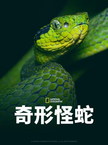 红桃视频《奇形怪蛇》免费在线观看